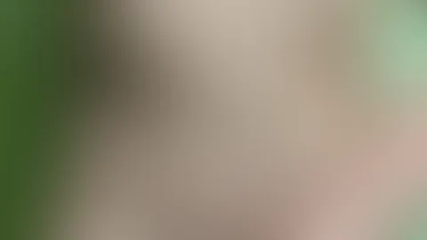die rechte hand liegt auf meiner mösse