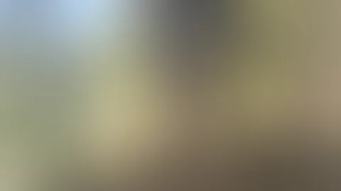 Wer würde mit mir spazieren gehen?