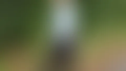 Hattest du mal Spaß im Wald?😌