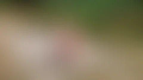 Heißer Feierabend am Feldweg... 🌲🔥
