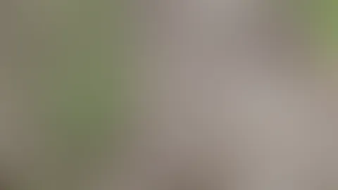 Ich alte Drecksau hab mir ins Maul gep**st🤫😉