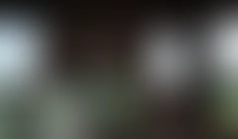 Hier mal ein geiler Zusammenschnitt für dich aus meinen letzten Videos. Der Fokus liegt hier auf meinen großen Naturbrüsten! Schau es dir in Ruhe an, genieße es und schreib mir dann gerne wie geil d