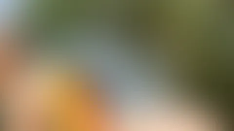 Wer 🇩🇪 : 🇨🇮 richtig tippt bekommt ne fotoreihe gratis Anleitung: schicke mir ein Bild von deinem s*****z mit deinem 🇩🇪🇨🇮 tip 🥵 ich sage 3:1 für Deutschland