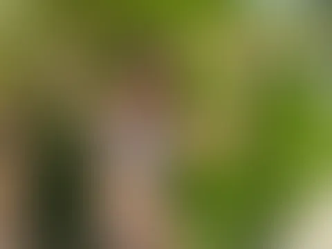 Dieser Tag ist so heiß wie meine heutige Lust auf S*x!