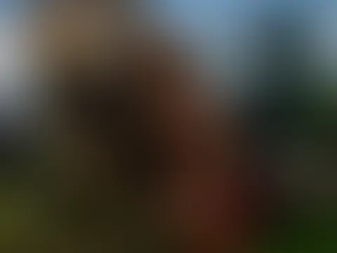 Heißes Kalendershooting mit der großen Astsäge