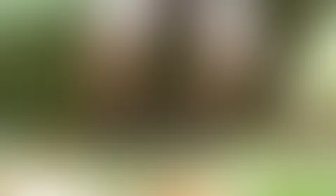Dildospiel im Wald