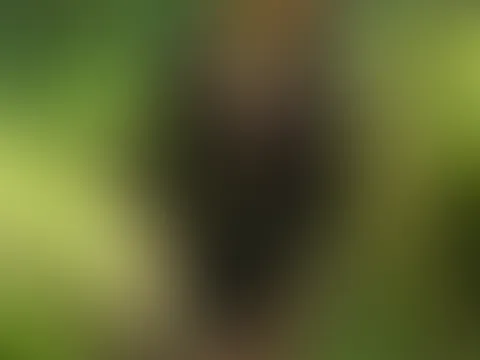 Im schwarzen Dessoumantel beide Löcher durchgeritten🥵