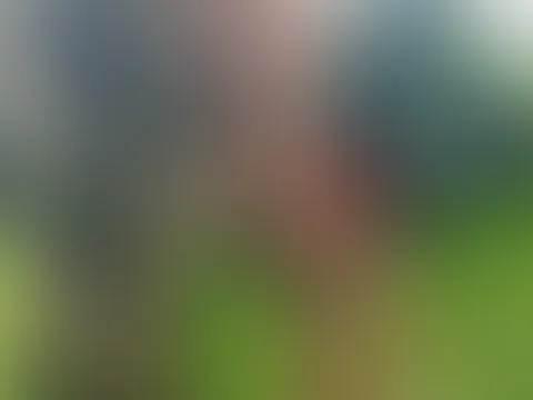 Na wie feiert ihr Weihnachten?