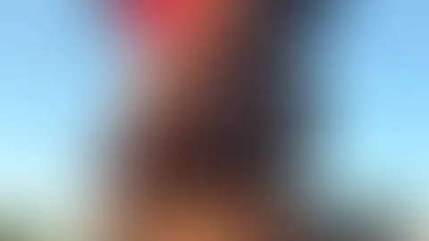 Nylon