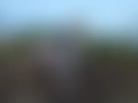 🔥🔥🔥🔥