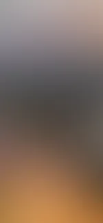Wer will sie zerreißen?