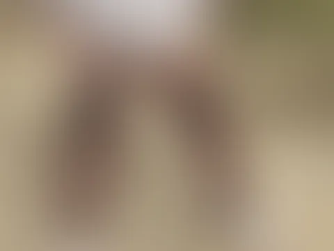 Lust auf Goldsaft? 😝