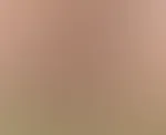 Meine BBW P***y und ich wünschen dir einen geilen guten Morgen ! Gefällt dir der Anblick ? Und hättest du Lust mal intensiv zu kosten ?🥵