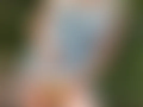 Die Dildo S******e