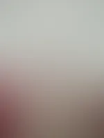 đ Feed-Edition đ