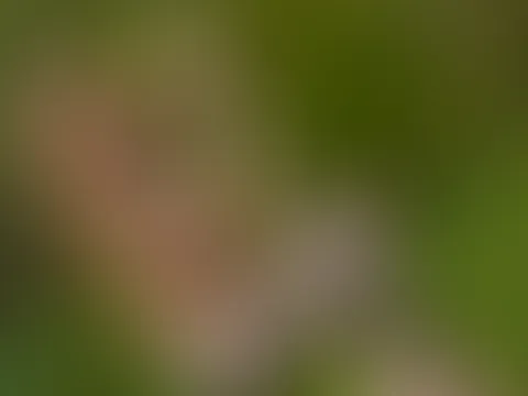 Outdoor Pole-Stream 💃🥰