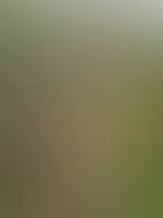 Bei dem Wetter hilft nur komplett ausziehen 😈