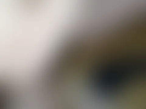Wenn die titten morgens schon so wackeln