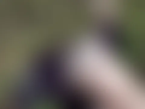 Meine Doppelpenetration im Wald – ich habe mich selbst mit zwei Dildos gef**kt, eines in den A***h und eines in die M****i.