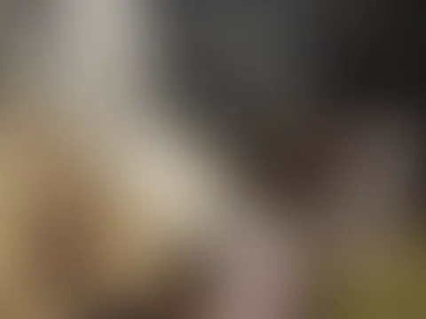 Blowjob beim Nachbarn 💦