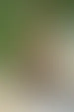 Ein Bild das nicht wirklich viel Worte benötigt! 🤠Wie gefällt es dir denn? 💋