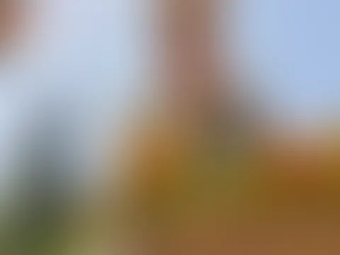 Ich wünsche dir eine sonnige Woche ☀️
