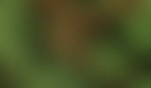 Ein bisschen spaß mit meiner F**kmaschine..