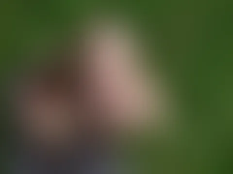 Erwischt beim Video aufnehmen in der Obstplantage