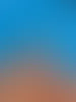 đ