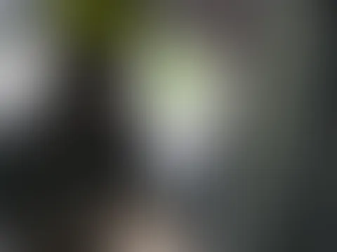 Wer zieht mir noch den BH aus ?