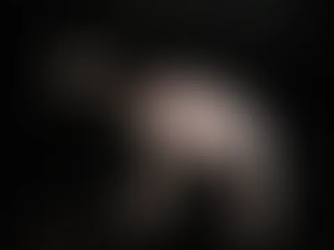50âs Vibe