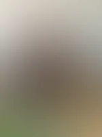 🐆