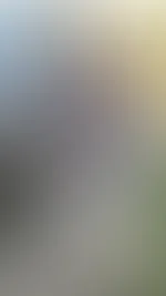 Heute gibt es ein Titten Bild zum Bild des Tagesđ