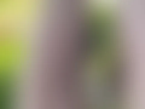 Das Leben besteht nicht nur aus Sonnenschein. Aber genau deshalb fühlt sich jeder schöne Moment doppelt wertvoll an. 🤍