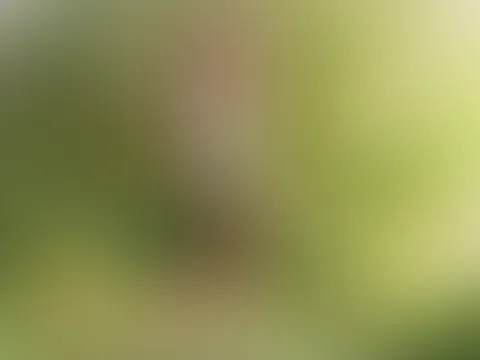 Heimliches Treffen am Badesee