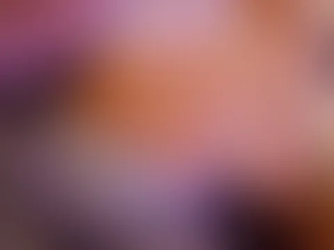 Boobies