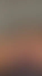Willst du sehen wie geil er in meinem A***h vibriert?🥵