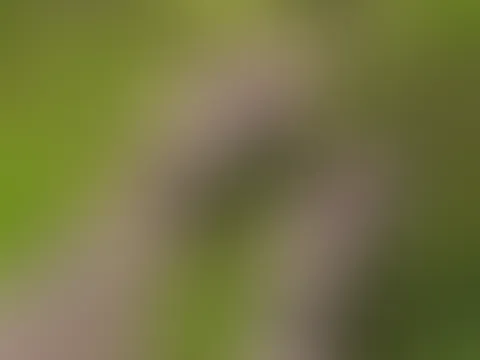 Endlich wieder Füße zeigen🔥