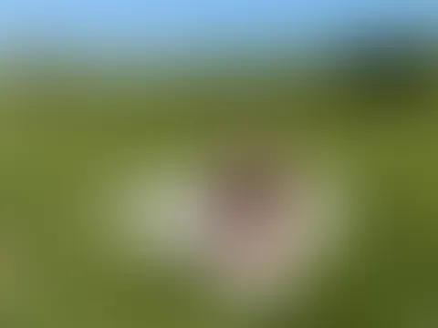 Vom Bauern erwischt – und direkt auf dem Feld durchgef**kt!