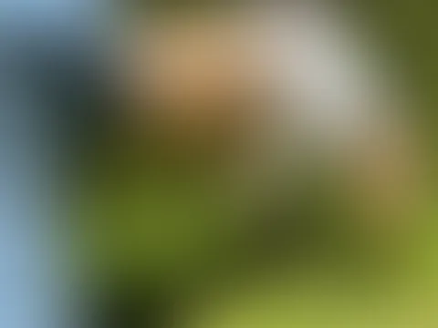 Du siehst meine nackten Brüste mit den steifen Nippeln bei der Gartenarbeit…