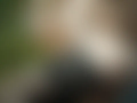 Türchen Neunzehn 🎄 heisse Nylons unterm Weihnachtsbaum 🎅🏽 🎄 nur du und dein Prachtkerl fehlen 🥰 😜 🎀🎁 Feedpreis ist NUR HEUTE auf 19,99 gestellt ❤️🔥 schnell zuschlagen 🎄 ab Samstag wieder No