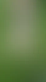 Manchmal muss man einfach die Natur genießen ;-)
