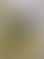 Mögt ihr auch Gemüse 🤪