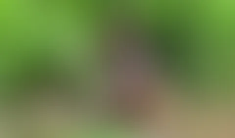 Teil 2. Meine F****r reichten nicht aus, aber ich hatte nur Gemüse in den Händen.