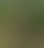 Denkst du, das hat jemand gesehen? đ
