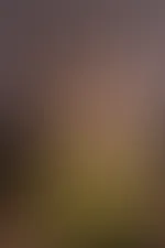 Einen schönen guten Morgen. Na gut geschlafen?