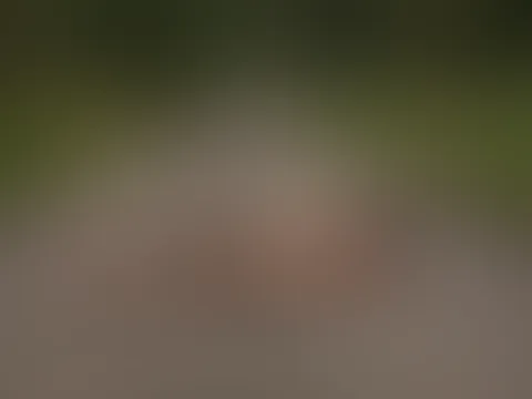 Schönes Shooting im Freien