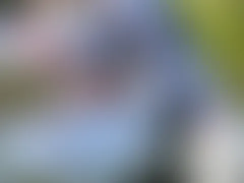 Frische Luft, dreckige Gedanken đđ