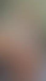 Heute gibt es ein P***y Bild zum Bild des Tagesđ