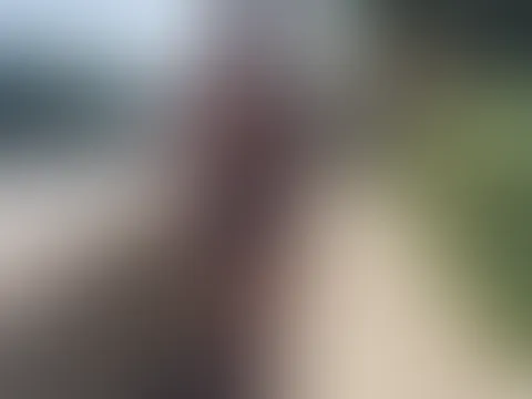 Spatziere durch Verona.